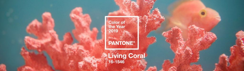 Pantone Colour of the Year 2019 - Living Coral. Image of Coral with fish.